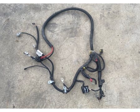 FAISCEAU COTE MOTEUR LIGIER JS50 MOTEUR PROGRESS