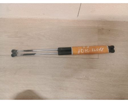 verins de coffre jdm aloes roxsy