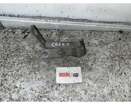 CHARNIERE DE CAPOT MICROCAR MGO 1 et 2, F8C / LIGIER JSRC